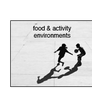 Food & Activity Environments